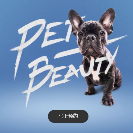 滨海宠物中心小程序开发